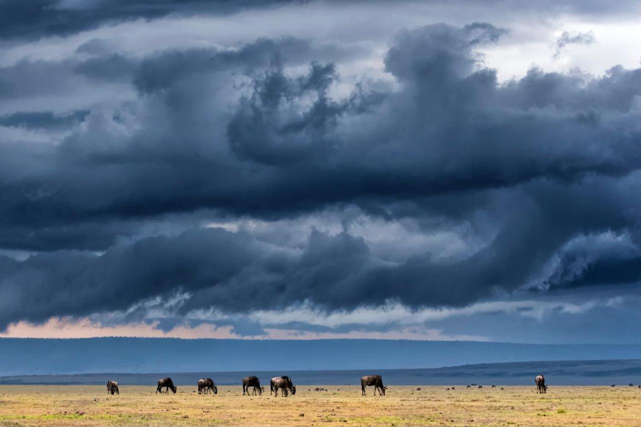 Отель Talek Olkinyei Camp Экстерьер фото